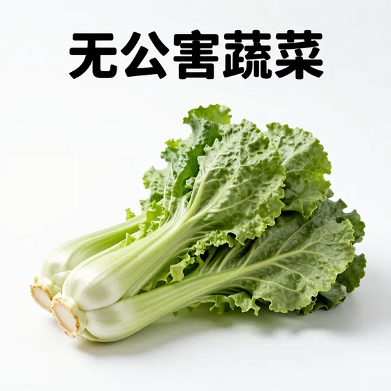 无公害蔬菜