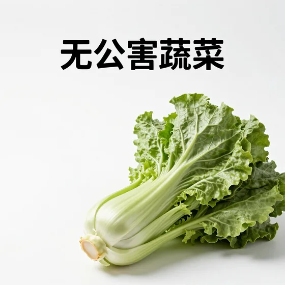 无公害蔬菜